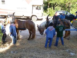 Illustration de la galerie