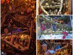 Illustration de la galerie