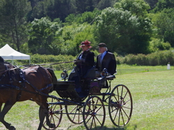 Illustration de la galerie