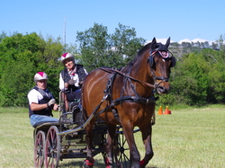 Illustration de la galerie