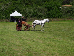 Illustration de la galerie