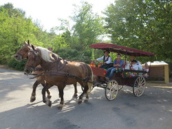 Illustration de la galerie