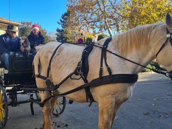 Illustration de la galerie