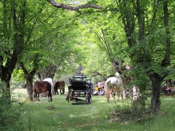 Illustration de la galerie