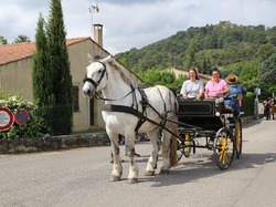 Illustration de la galerie